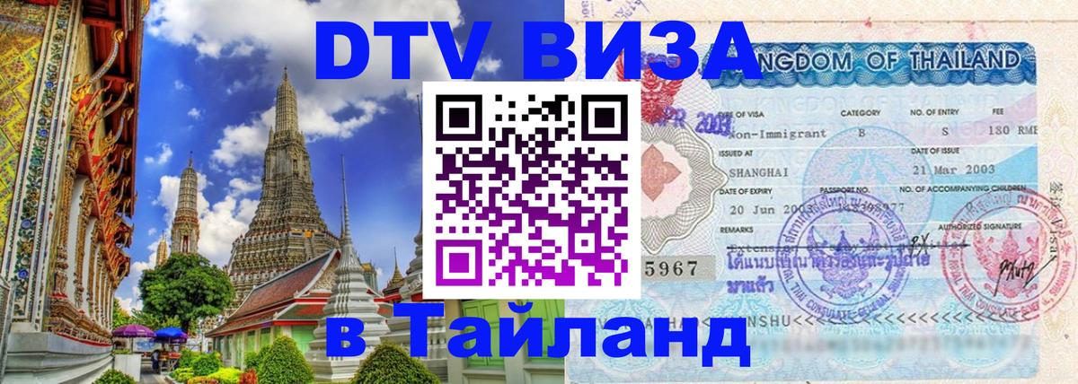 Стоимость и условия DTV визы — оформление в Таиланд под ключ - Амстердам  06.12.2025 