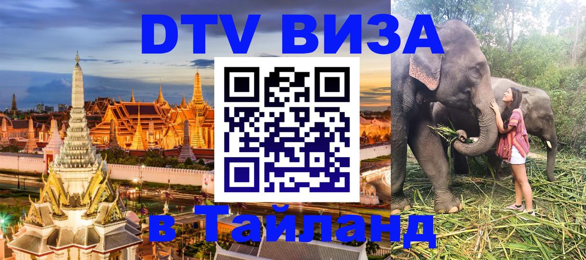 ДТВ VISA Тайланд для фрилансеров Амстердам 
